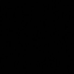 Meet your Posher, Shane